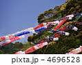 鯉のぼり