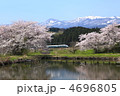 春の田園を行く山形新幹線