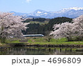 春の田園を行く山形新幹線