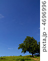 4696996