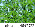 春