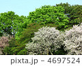 春