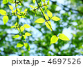 春のにおい