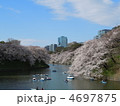 千鳥ヶ淵