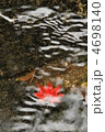 水面の紅葉
