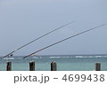 釣り