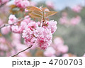 関山