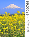 菜の花と富士山-222825