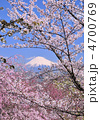 桜と富士山-8674
