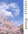 桜-33107