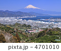 日本平からの富士山-8593