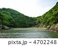 幸島の浜辺