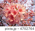 春の訪れ