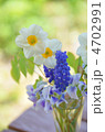 春の花