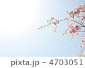 満開の桜