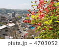 ツツジと秩父の街並み