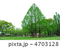 新緑の公園
