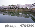 彦根城と桜2