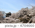 上田城千本桜２０１２