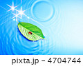 テントウ虫と葉っぱと水