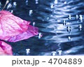 水面に浮かぶ花びらと水泡