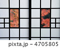 障子