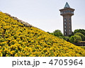パンジー咲く公園