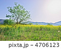 春の原風景