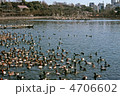 上野動物園　1991年