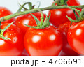 房付きトマト 房付きトマト