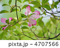 peacefully。