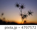 黄昏のとき。 黄昏のとき。