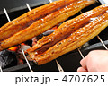 うなぎ