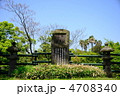 本戸城跡