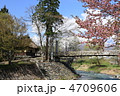 春の白馬村