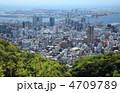 新緑の神戸