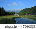 山村の春