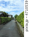 萩 菊屋横丁(たて) 萩 菊屋横丁(たて)