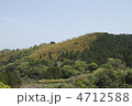 新緑をゆく 新緑をゆく