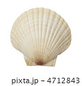 帆立貝