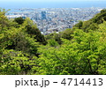 神戸の春