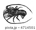 伊勢海老