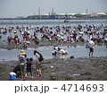 富津海岸で沢山の人たちがアサリを掘っています