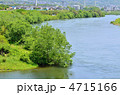 京都　宇治川　新緑　山科川合流地点1
