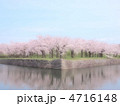 五稜郭公園