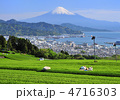 日本平からの風景-8703