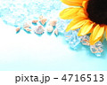 夏イメージ