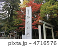 椿大神社