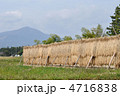 宮城の山と稲架掛けのある風景 宮城の山と稲架掛けのある風景
