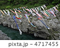 大歩危峡に泳ぐ鯉のぼり（徳島県吉野川）